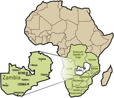 Impact of cash transfer programs on healthcare utilization and catastrophic health expenditures in rural Zambia: a cluster randomized controlled trial
